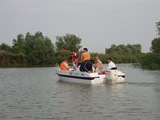 Boar trip on the Danube Delta